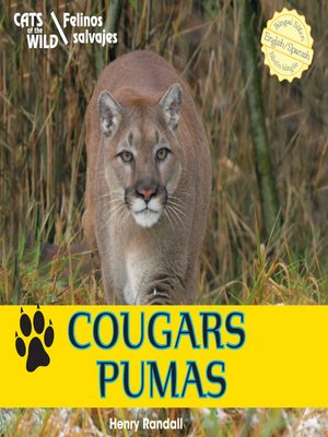 cover image of Cougars / Pumas